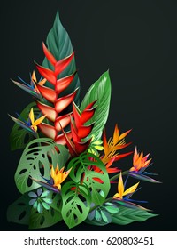 Vector illustration of beautiful flora plants,Tropical flowers in tropical forests among exotic foliage, vines, flowers.South America, Central Africa, Southeast Asia and Australia.