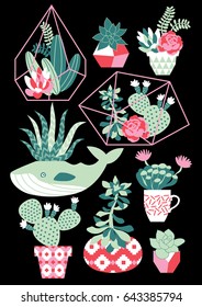 A vector illustration of beautiful floral bouquets with succulents and cactuses in funny flower pots and glass terrariums. Trendy tropical design for a birthday card or an invitation
