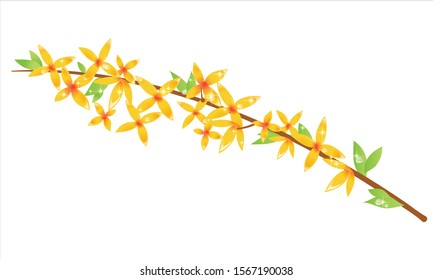 vector illustration of a beautiful flower