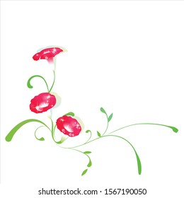 vector illustration of a beautiful flower