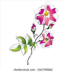 vector illustration of a beautiful flower