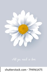 Vector illustration of a beautiful flower chamomile with text. Lovely summer white flower on gray background. Realistic style design for card, web, site, poster
