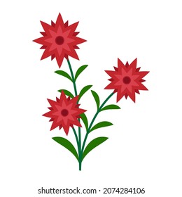 Vector illustration of beautiful flower flat design