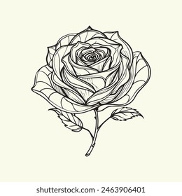 vector illustration of a beautiful flower on a white background