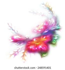 Vector illustration of beautiful flower on white background.