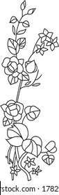 Vector illustration of beautiful flowers, leaves and curly stems 