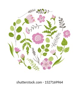 Vector illustration of beautiful flowers and plants in circle.