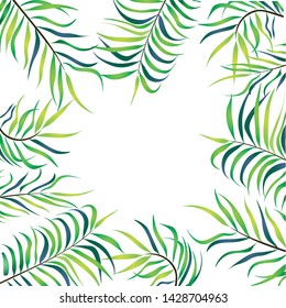 Vector illustration. Beautiful frame with tropical leaves. White background. 