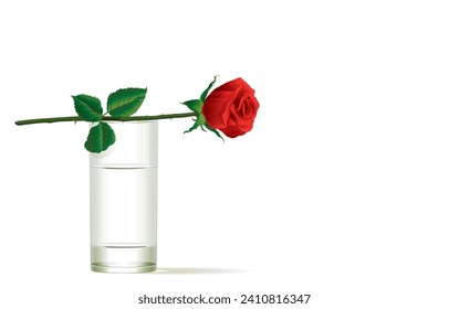 Vector illustration of beautiful fresh romantic red rose bloom on glass of water,red rose blooming rests on lip of clear vase,isolated on white background.Symbol of happiness,Expression of love.