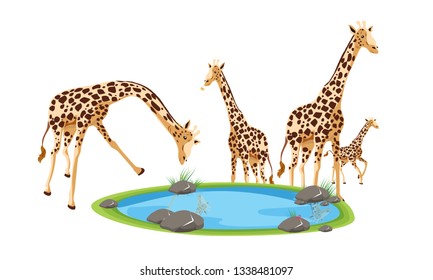 Vector illustration of beautiful giraffes family for your design eps 3 - Vector