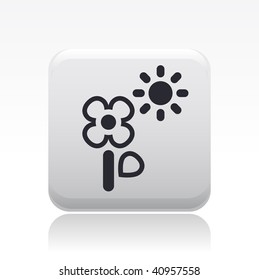 Vector illustration of a beautiful gray icon isolated in a modern style with a reflection effect depicting a flower with sun