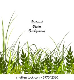 Vector illustration with a beautiful green grass and leaves isolated on white background.