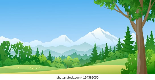 Vector illustration of a beautiful green mountain forest