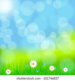 Vector illustration of beautiful green spring meadow with daisies