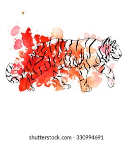 Vector illustration. Beautiful hand drawn tiger on watercolor red background