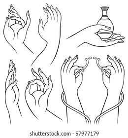 Vector illustration of Beautiful Hands.
