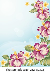 The vector illustration of a beautiful hibiscus 