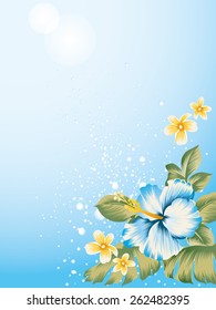 The vector illustration of a beautiful hibiscus 