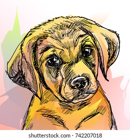 Vector illustration of beautiful labrador puppy. Line and watercolor style.