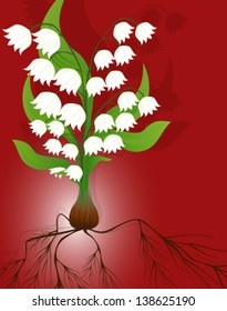 Vector illustration of beautiful lily of the valley