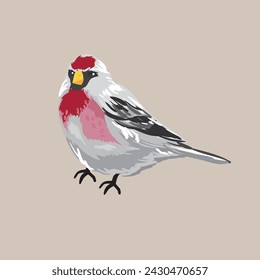 Ilustración vectorial de hermoso pequeño pájaro rojo o jilguero en estilo realista sobre fondo blanco