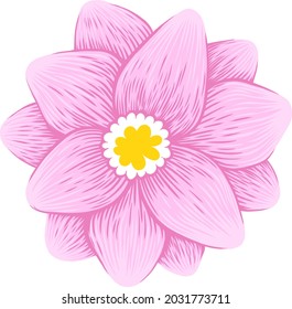 Vector Illustration of beautiful magnolia, Spring flower isolated on white background