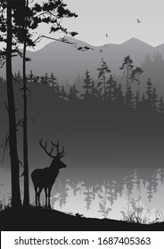 Vector illustration with beautiful natural background. Deer by the lake, in the distance a pine forest on a background of mountains