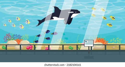 Vector illustration of a beautiful oceanarium. Cartoon tropical fish, killer whale, corals and algae behind the glass of the aquarium.