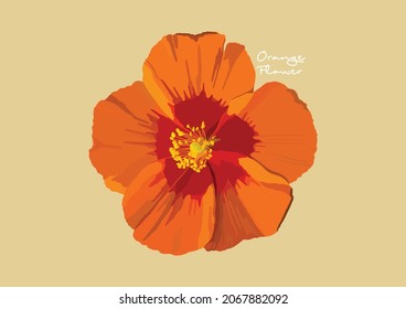 Vector Illustration of Beautiful Orange Flower