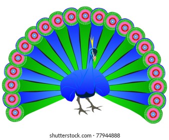 Vector illustration of beautiful peacock