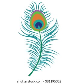 Vector illustration beautiful peacock feather. Decoration element. Peacock plume