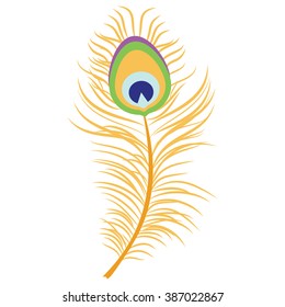Vector illustration beautiful peacock feather. Decoration element. Peacock plume