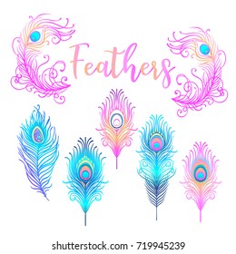 Vector illustration of beautiful peacock feather set isolated on a white background. Trendy hipster background, logotype, tattoo design element. Colorful gradient. Isolated vector illustration.