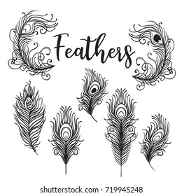 Vector illustration of beautiful peacock feather set isolated on a white background. Trendy hipster background, logotype, tattoo design element. Colorful gradient. Isolated vector illustration.