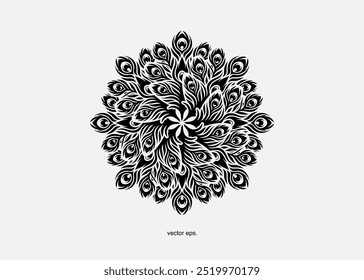 vector illustration of beautiful peacock feathers and mandala