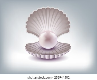 Vector illustration of a beautiful pearl in a shell