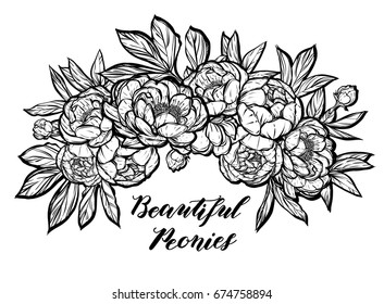 Vector illustration. Beautiful Peonies. Handmade, prints on T-shirts, tattoos, background white