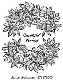 Vector illustration. Beautiful Peonies. Handmade, background white, tattoos, prints on T-shirts