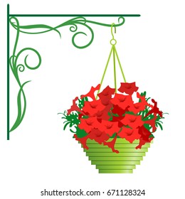 Vector Illustration. Beautiful petunias on a white background.