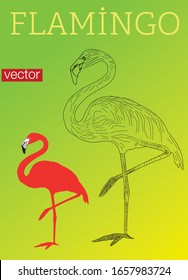 Vector illustration of beautiful pink flamingo bird standing on one leg in sea water on color background with sun and palm. Flat style design of flamingo for web, site, banner, card, print
