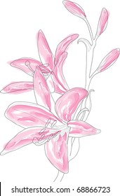 Ilustración vectorial de la bella colmena rosa
