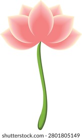 Vector illustration of a beautiful pink lotus flower with soft gradient mesh shading isolated on white background