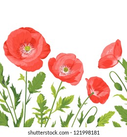 Vector illustration of beautiful poppies bouquet,  seamless border composition. Anzac Day illustration.