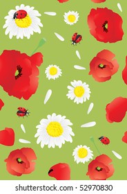 Vector illustration of beautiful poppies and chamomiles background