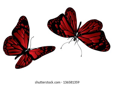 Vector illustration of a beautiful red butterfly