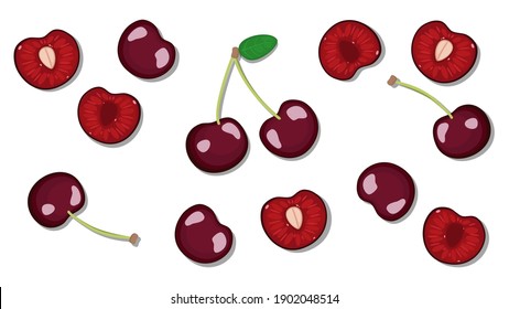 vector illustration of beautiful red juicy cherries isolated on white background. cherry, half cut, sliced,