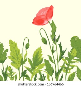 Vector illustration of beautiful red poppy with leaves. Seamless border pattern. Anzac day. Floral wallpaper.