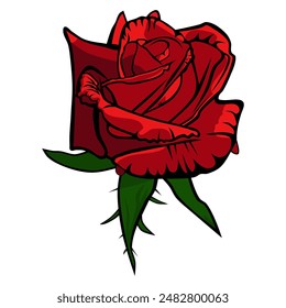 Vector illustration of beautiful red roses on white background. Graphic asset. Decorative illustration. Flower illustration.