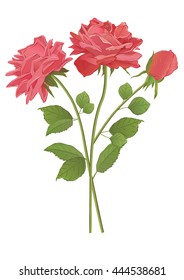 Vector illustration of beautiful red roses with green leaves