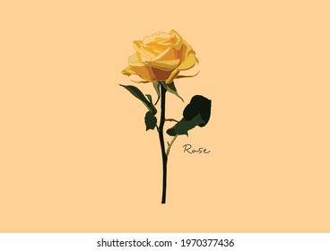 Vector Illustration of beautiful Rose, Yellow Rose